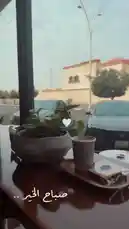 Experience a peaceful café ambiance with a beautifully arranged table setup. A warm cup of coffee, a fresh sandwich, and a potted plant create a relaxing scene by the window. Outside, calm city streets and buildings provide a serene backdrop. This moment captures the simple joy of a quiet afternoon break. by @karim.alsaleh with my one and only ❣️❣️❣️❣️❣️ by Contains: Qusad Einy - Amr Diab