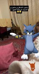 Preview for a Spotlight video that uses the Tom et Jerry Dance Lens