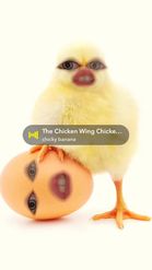 Preview for a Spotlight video that uses the Cute Chicken Lens