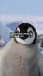Preview for a Spotlight video that uses the Jess the Penguin Lens