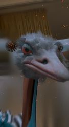 Preview for a Spotlight video that uses the ostrich Lens