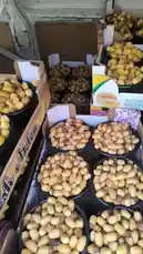 This video provides a close-up look at a large quantity of fresh dates being displayed in black bowls within cardboard boxes, likely at a market stall or warehouse. The camera pans across the neatly arranged produce, highlighting their plumpness and golden-brown color. An Arabic voiceover expresses satisfaction upon the arrival of the 'good' dates, suggesting they are a prized delivery. by @qvalleys with Original Sound by qvalleys