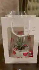 This charming gift features a small succulent plant nestled in a white pot decorated with red hearts. It's presented inside a stylish white paper bag with a clear window, making it perfect for birthdays, anniversaries, or Valentine's Day. A simple card attached to the bag reads 'You mean so much to me,' adding a heartfelt touch. by @home_garden3 with original sound