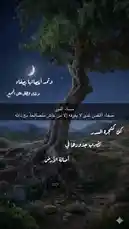 في لقطات سينمائية مذهلة تحت ضوء القمر، يظهر شجرة قديمة ضخمة في منظر طبيعي هادئ. تظهر نصوص عربية على الشاشة تقدم نصائح فلسفية حول البقاء صامدًا في الأوقات الصعبة. يتحدث صوت رجولي هادئ باللغة العربية عن 'مُدَرِّسَةُ النُّصْف' ونصائح للحفاظ على الصمت والتأمل. تُظهر اللقطات تغيرات طفيفة في النصوص، مما يوحي بأنها جزء من فيديو تأمل أو توجيه ذاتي. يعزز هذا المحتوى من طابعه التأملية والروحية، مع التركيز على الاستقرار النفسي وقوة الشخصية. by @snap_h24 with original sound