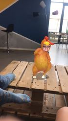 Preview for a Spotlight video that uses the Turkey Lens