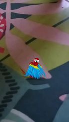 Preview for a Spotlight video that uses the Macaw Parrot Lens