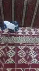 Video by @classycleanksa with Original Sound by classycleanksa