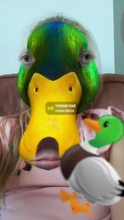 Preview for a Spotlight video that uses the Duck Lens