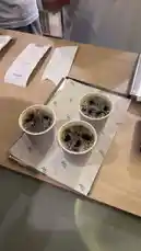 This close-up shot captures three cups of freshly brewed coffee, likely pour-over, served at Sequence Coffee. The scene includes a branded tray, receipts, and a barista in the background, offering an authentic look into the coffee shop experience. by @sequence-coffee with original sound