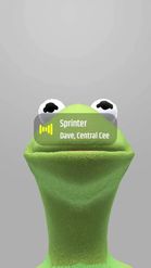Preview for a Spotlight video that uses the Frog Puppet Lens