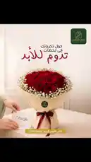 happebox (@happeboxqatar) | Snapchat Stories, Spotlight and Lenses