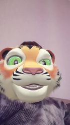 Preview for a Spotlight video that uses the Tiger Simulator Lens