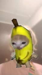 Preview for a Spotlight video that uses the funny banana cat Lens