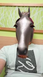 Preview for a Spotlight video that uses the Horse head Lens