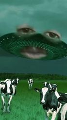 Preview for a Spotlight video that uses the Cows and Aliens Lens