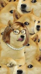 Preview for a Spotlight video that uses the Doge Girl Lens