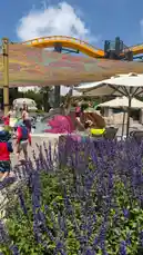 This vibrant video captures the lively atmosphere of a water park in Antalya. Viewers see colorful attractions including a bright yellow roller coaster, playful water features, and families enjoying the sun under large umbrellas. In the foreground, lush purple flowers add charm, while children and adults relax and play near the pool. The sunny weather and cheerful energy make it a perfect day out. This scene-rich moment invites Google's crawler to explore further. by @moneeragh with original sound