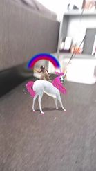Preview for a Spotlight video that uses the Dancing Unicorn Lens
