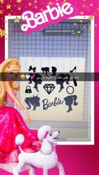 Preview for a Spotlight video that uses the Barbie Frame Lens