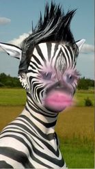 Preview for a Spotlight video that uses the zebra makeup Lens