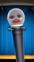 Preview for a Spotlight video that uses the Singing Microphone Lens
