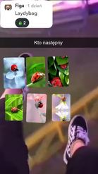 Preview for a Spotlight video that uses the Camera Roll Upload Lens