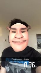 Preview for a Spotlight video that uses the Real Shrek Lens