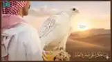 A man in traditional Saudi attire stands in a golden desert at sunset, his white falcon perched regally on his gloved hand. The bird, a magnificent white gyrfalcon, surveys the vast dunes under a warm sky. Arabic calligraphy reading 'الصقر الأبيض يطير في فضاء الغالب' ('The white falcon flies in the vast space') enhances the majestic scene. This powerful imagery captures the essence of heritage, patience, and the deep bond between man and bird. by @snap_h24 with original sound