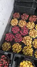 This video provides a close-up tour of freshly harvested dates from Al-Qassim, Saudi Arabia. It showcases various types of dates sorted into black plastic bowls, including golden yellow and deep red varieties. The camera pans across the produce, revealing them packed in cardboard boxes labeled 'Fresh' and 'السعودية', ready for distribution. by @qvalleys with Original Sound by qvalleys