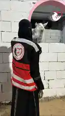 A volunteer from the Al-Risalah Salam Voluntary Team is seen interacting with a white horse inside a stable. The individual, wearing a black hijab and a red-and-black vest with the team's logo, gently pets the animal through a brick opening. The scene captures a moment of compassion and care, highlighting the humanitarian efforts of the organization in animal welfare. by @peace.message with original sound
