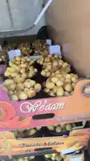 A behind-the-scenes look at the harvesting and packing process of fresh melons. The video shows large quantities of ripe melons being sorted and placed into black containers within cardboard boxes, ready for distribution. by @qvalleys with Original Sound by qvalleys