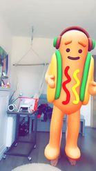 Preview for a Spotlight video that uses the Hot Dog Costume Lens