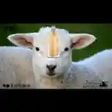 Video by @fittingroomsa with Original Sound by fittingroomsa