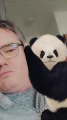 Preview for a Spotlight video that uses the Panda Hug Lens