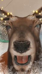 Preview for a Spotlight video that uses the Festive Deer  Lens