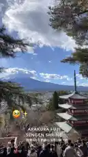 Video by @i5lom with original sound