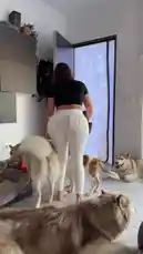 Andrea Hascake (@andreahascake) | Snapchat Stories, Spotlight & Lenses