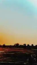 *𝐗((kuch  lines'))💛_ᴾᵒˢᵗ•••⁴²⁰

💛🥀

*•⏤͟͟͞͞🍃𝙃𝘿 🖇️  𝙨𝙏𝙖𝙏𝙪𝙎🥀💫🍁* by @mrsahir00 with Original Sound by mrsahir00