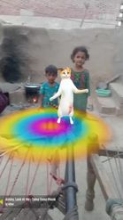 Preview for a Spotlight video that uses the Street Cat Dance Lens