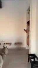 Andrea Hascake (@andreahascake) | Snapchat Stories, Spotlight & Lenses