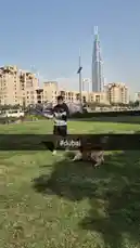 Video by @k_viewty with Original Sound by k_viewty