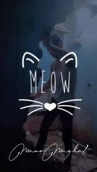 Preview for a Spotlight video that uses the Name Cute Meow Lens