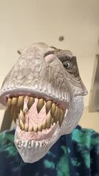 Preview for a Spotlight video that uses the GettingRexy Lens