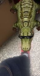 Preview for a Spotlight video that uses the Deal With It Croc Lens