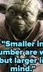 Best Yoda Quotes That Will Immediately...