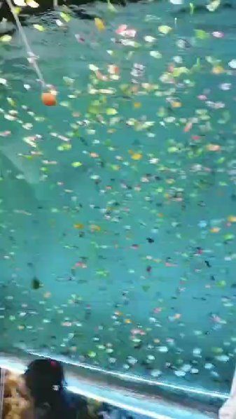 ❤️Love You ज़िंदगी ❤️ - ShareChat