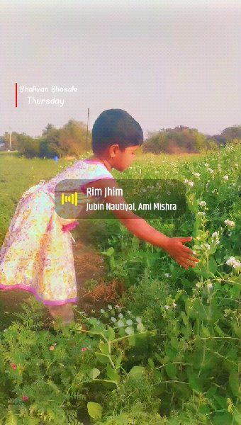 🎵 हिंदी गाणी - ShareChat