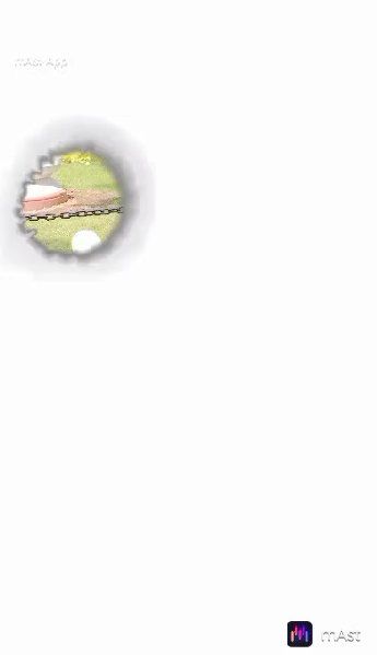 🙋‍♂️السلام علیکم💐 - ShareChat