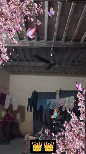 👌 ਘੈਂਟ ਵੀਡੀਓਜ - ShareChat