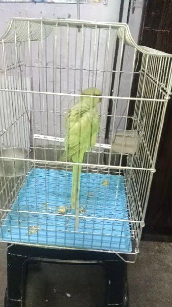 💿पुराने गाने - ShareChat